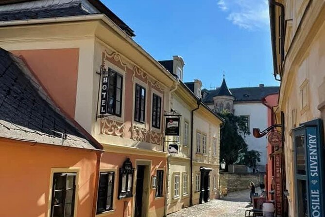 Kutná Hora Day Trip with Ossuary and Traditional Czech Lunch - Views and free time: wine tasting and souvenir browsing