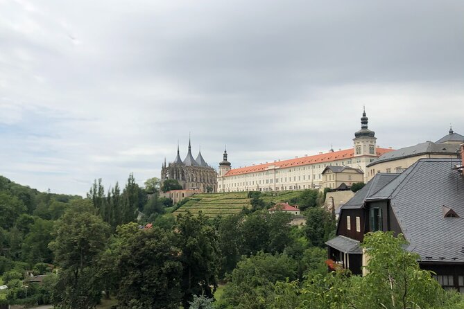 Kutná Hora UNESCO, Bone Church & Biodynamic Wine Private Tour - Biodynamic winery visit: DEMETER approach, cellar tour, and tasting