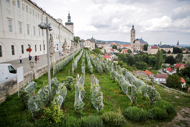 Kutná Hora UNESCO, Bone Church & Biodynamic Wine Private Tour - Who this private Kutná Hora wine tour fits best