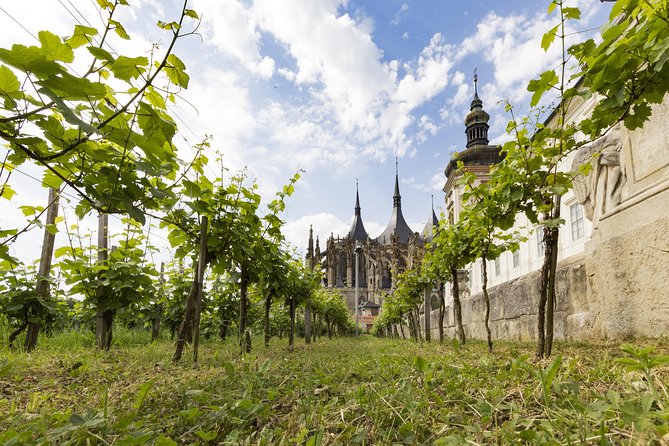 Kutná Hora UNESCO, Bone Church & Biodynamic Wine Private Tour - Hotel pickup and private transport for a calmer 8-hour day