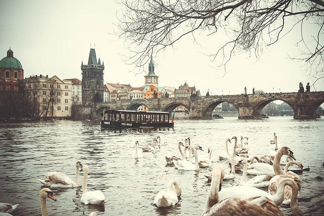 Magical Prague Private Half-Day Tour - Old Town Hall and the clock moment, what to look for