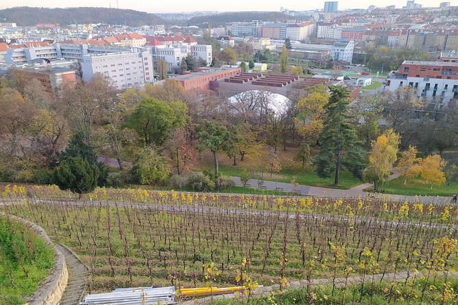 Non-touristy Prague - Cozy Neighborhoods - Private Tour - What you learn: politics, culture, and everyday life in Czechia