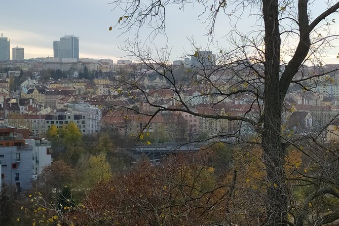 Non-touristy Prague - Cozy Neighborhoods - Private Tour - Who this tour suits best (and who might prefer something else)