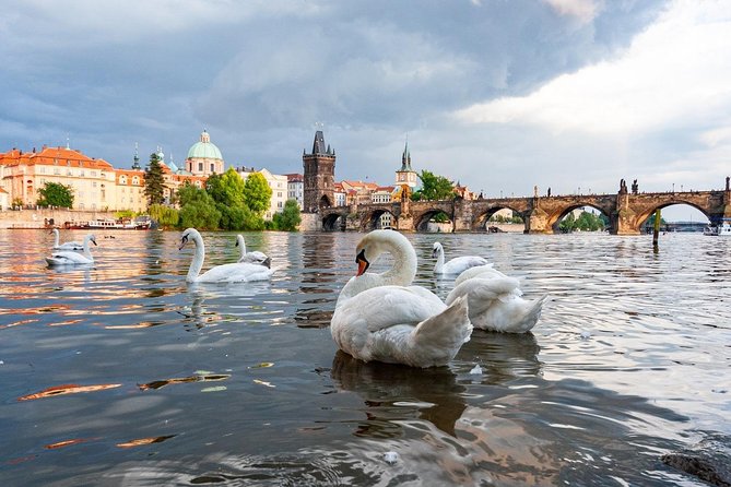 One-way Private Transfer From/To Prague Airport - Key Things Worth Knowing Before You Go