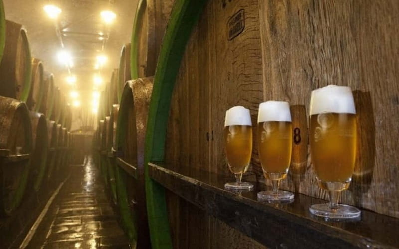 Pilsner Brewery & Nizbor Glass Factory Combination Tour - Key things that make this combo tour worth your time