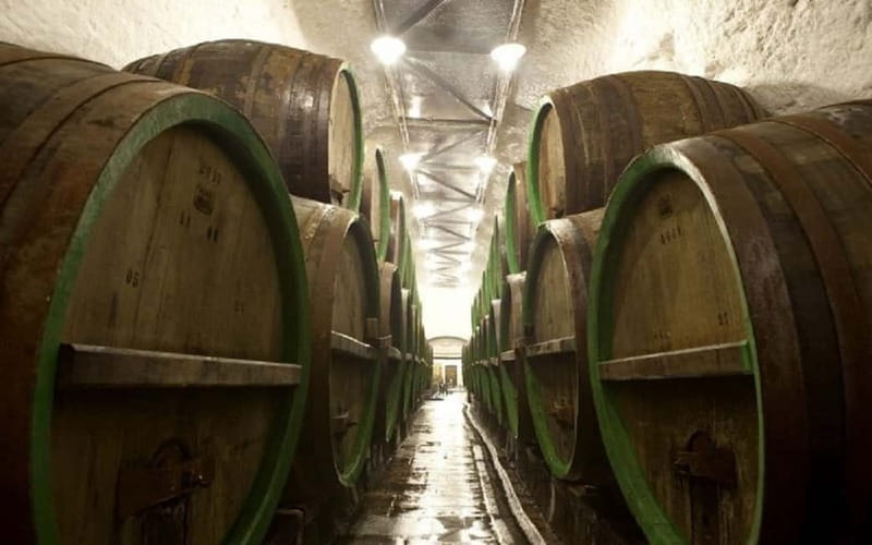 Pilsner Brewery & Nizbor Glass Factory Combination Tour - Inside Pilsner Urquell in Pilsen: the museum walk and the real brewery feel