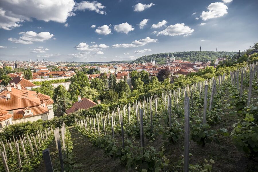 Prague: 3–Hour Castle Grounds Walking Tour and River Cruise - Walk to Charles Bridge and Clementinum: A Fast Orientation Through Prague’s Centers