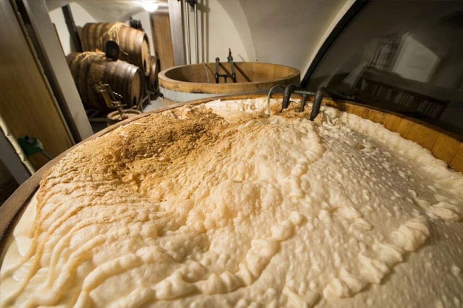 Prague: Beer Tasting and Brewery Tour - Should you book this Prague beer tasting and brewery tour?