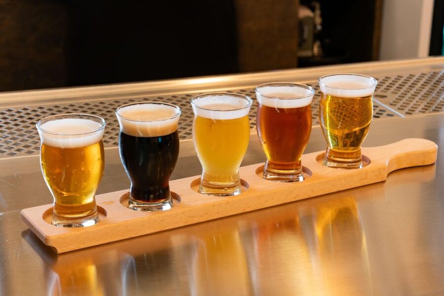 Prague beer tour with brewery visit and tasting - Public transport and the Vltava River segment: the brewery visit in the middle