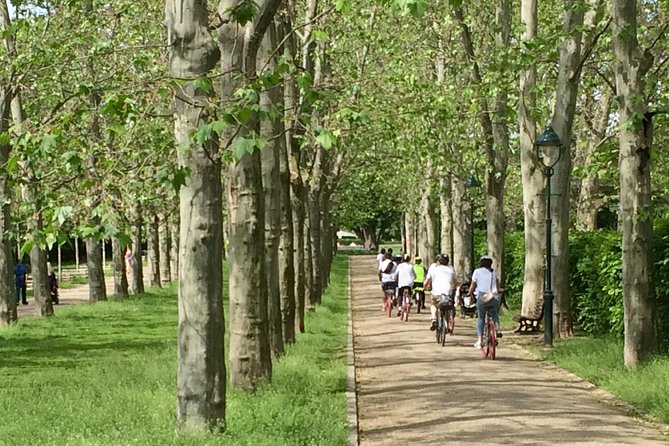 Prague Bike Tour - Stunning Viewpoints, Castle, City & Park - How hard is the ride, and when to choose an e-bike