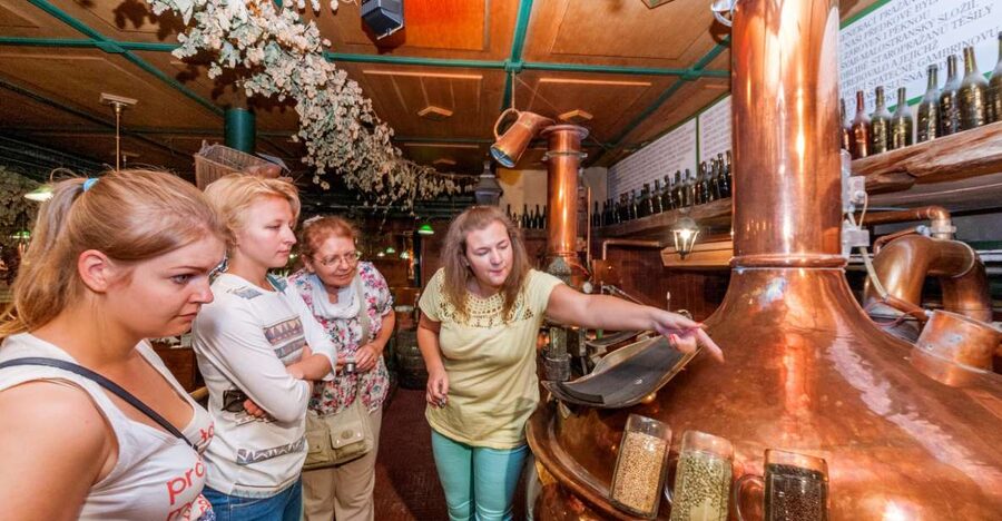 Prague: Brewery Tour with Unlimited Tastings - 3 mini-breweries and at least 9 Czech beer tastings: how to pace it