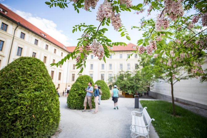 Prague Castle and Canal River Boat Tour - Prague Castle grounds walk: St. Vitus Cathedral plus the power behind it