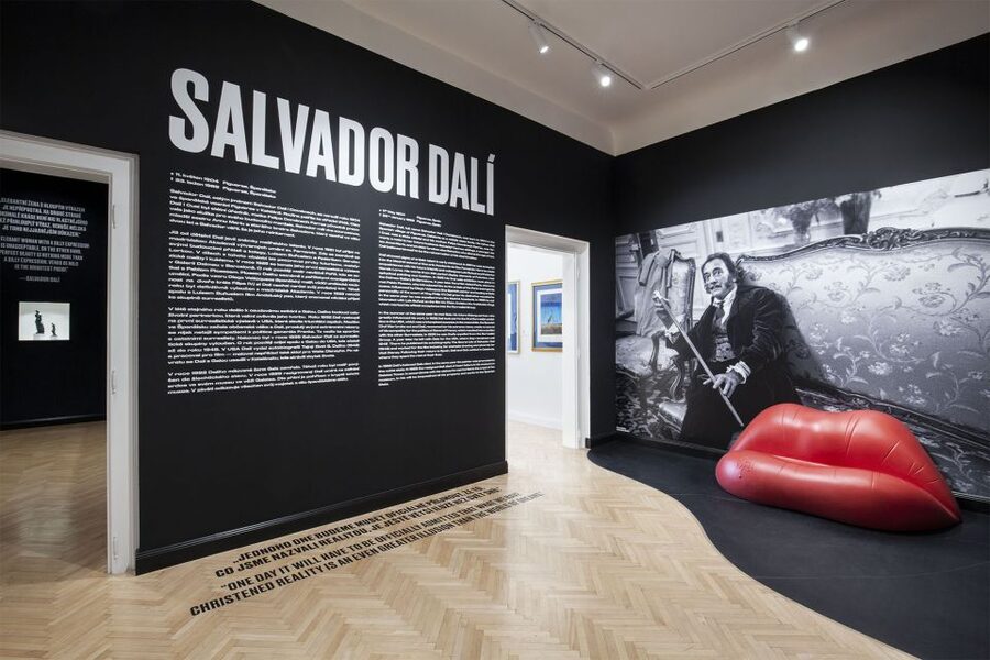 Prague: Central Gallery Ticket with Two Exhibitions - Salvador Dalí Exhibition: Surrealist Brushwork You Can Really See