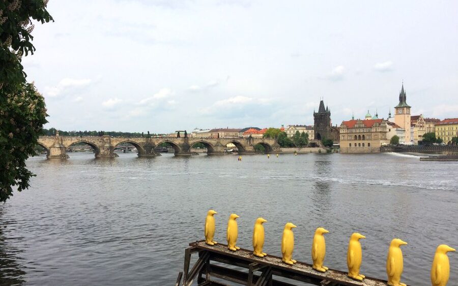 Prague: Classic City Bike Tour - The 2.5-hour “easy pace” concept, and how to judge your comfort