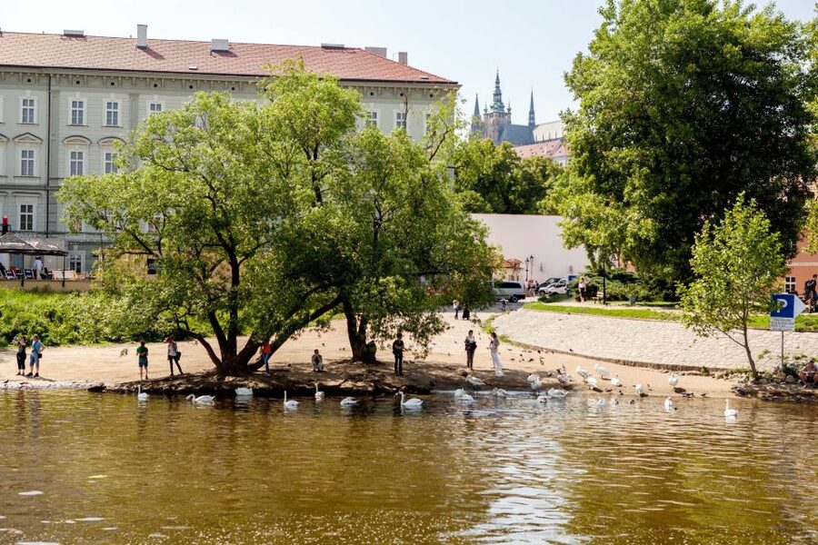 Prague Cruise: 1-Hour on the River Vltava - Price and value: is $17 worth a 60-minute cruise?