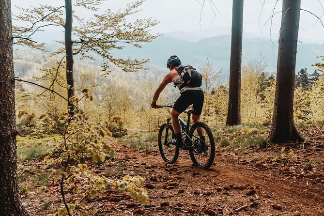 Prague E-Mountain Biking Adventure In The Bohemian Paradise - Lunch at a Royal Hunting Lodge Restaurant: The Break That Actually Feeds You