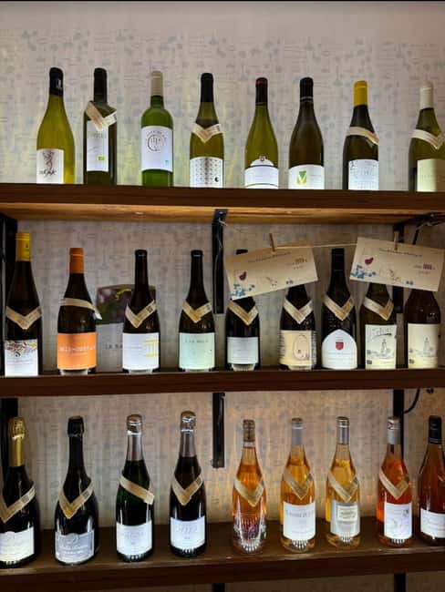 Prague: Hidden Wine Bars and Cellars Tour - Meeting Next to Na Břehu Rhony: Easy Start, Local Tone