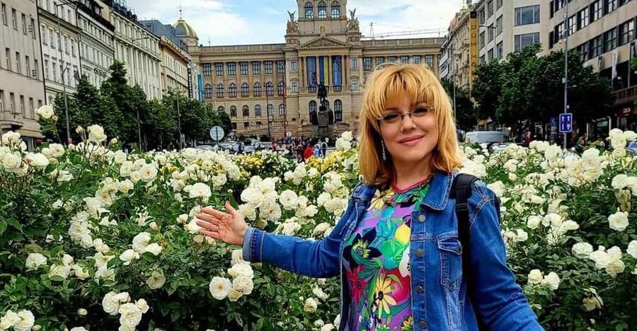 Prague: Highlights of Prague Private Half-Day Tour by Car - Wenceslas Square and the big-city orientation stops