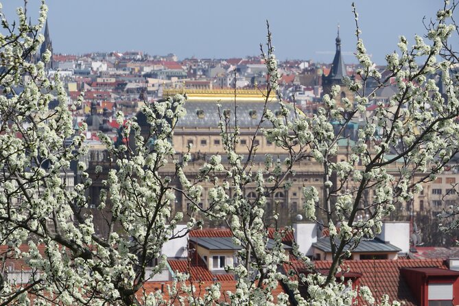 Prague Literary & Historical Tours - Literature Route - Meeting Point, Timing, and the Advantage of a Small Group