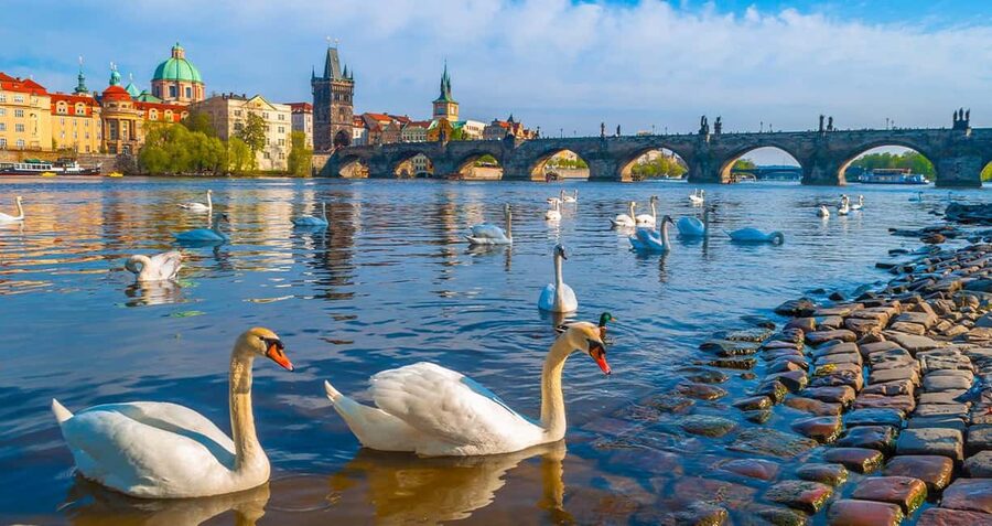 Prague: MegaCombo Tickets with Castle, Cruise & Walking Tour - Should You Book the Prague MegaCombo Tickets with Castle, Cruise & Walking Tour?