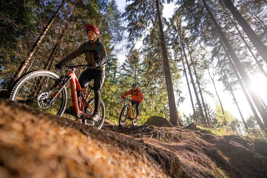 Prague Mountain Biking: Blast Through The Best Singletracks - Who this tour fits best, and who should pass