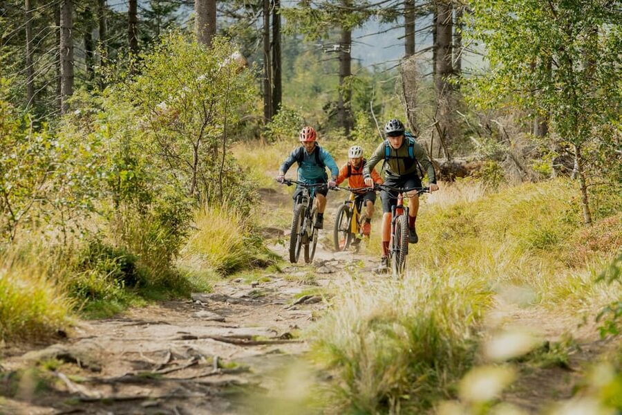Prague Mountain Biking: Blast Through The Best Singletracks - Trains back to Prague: low-stress after the effort