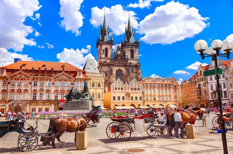 Prague National Museum Skip-the-Line Private Tour - Skip-the-line entry: what it saves, and what it doesn’t
