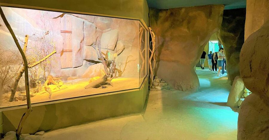 Prague: Prague Zoo Audio Guide with E-Ticket - Start at Troja: Finding the Main Entrance and Your First Audio Stop