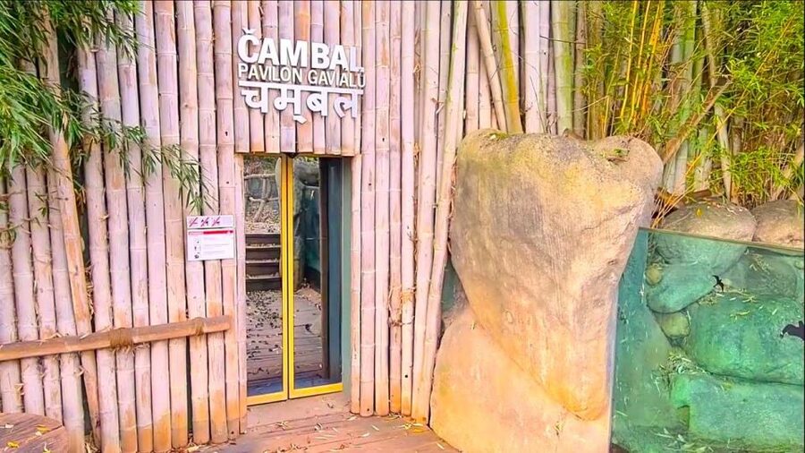 Prague: Prague Zoo Audio Guide with E-Ticket - Timing Your Day: How Long to Plan, Breaks, and Food Stops