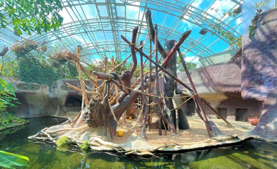 Prague: Prague Zoo Audio Guide with E-Ticket - Price and Value: Is $22 Good for This Zoo Experience?