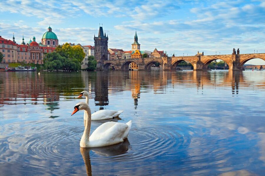 Prague : Private Walking Tour with A Guide (Private Tour) - How Hotel Pickup and a Private Group Change the Whole Day