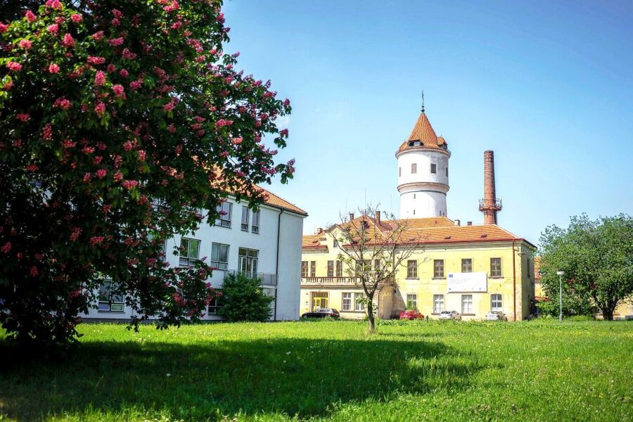 Prague: Psychiatric Hospital and Abandoned Cemetery Tour - The Inside Story: From Medieval Mysteries to Lobotomies