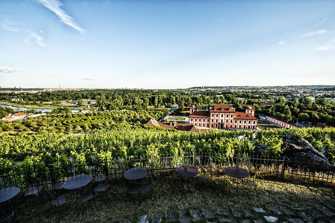 Prague´s Hidden Vineyards Private Tour - Private pickup, a calm pace, and why it matters in Prague