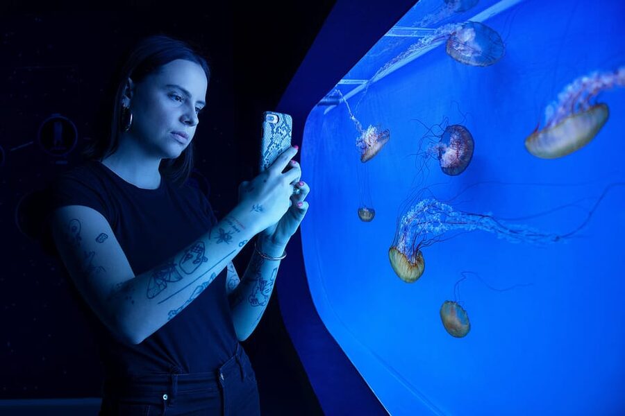 Prague: The World Of Jellyfish Entry Ticket w/ Drink - Tickets and voucher exchange: the part you should not ignore