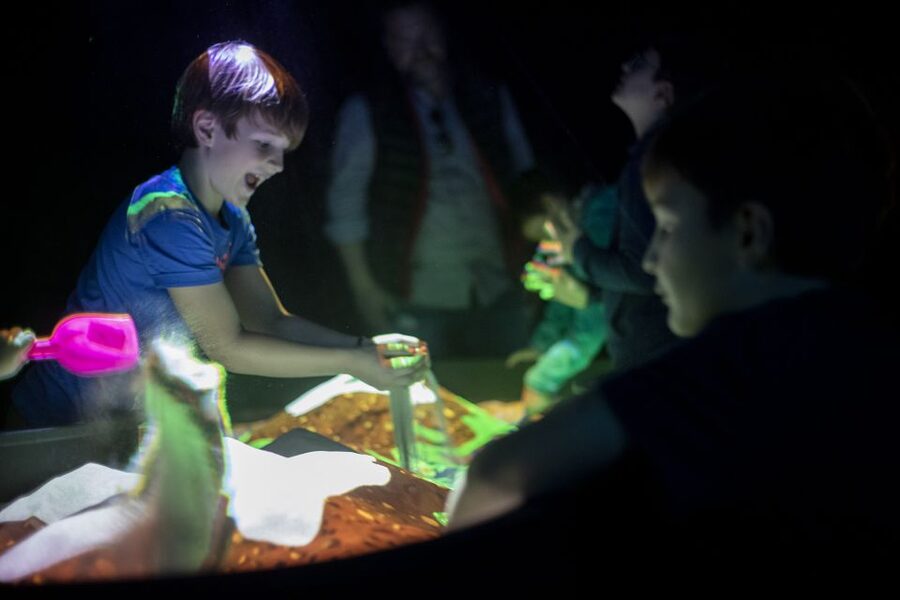 Prague: Ticket to Audiovisual Light Art at Lumia Gallery - Inside Lumia Gallery: what the ticket actually buys you