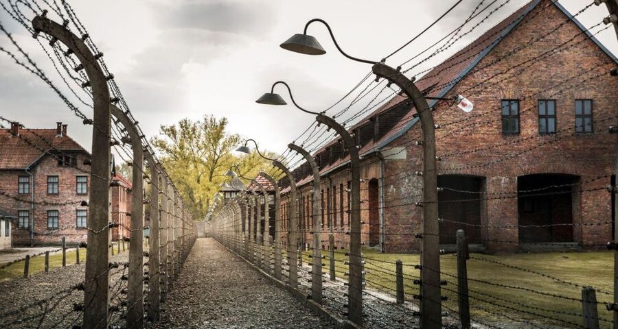 Prague: Tour to Auschwitz Birkenau - Price and value: is $601 worth it for a full day?