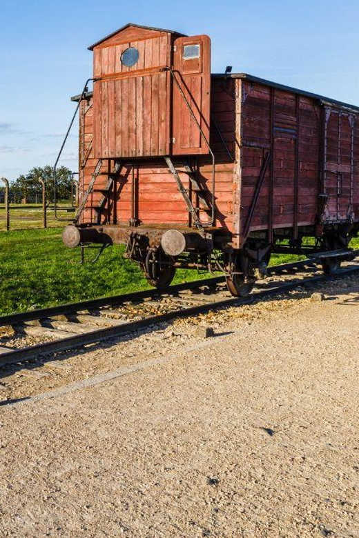 Prague: Tour to Auschwitz Birkenau - Auschwitz II-Birkenau: seeing the scale of suffering