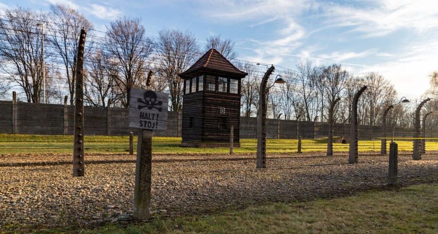 Prague: Tour to Auschwitz Birkenau - Ruins, memorial spaces, and why the guide matters