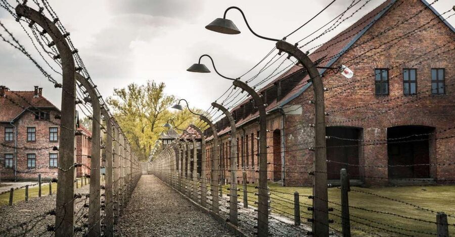 Prague: Tour to Auschwitz Birkenau - Transportation and comfort: air-conditioned rides and practical stops