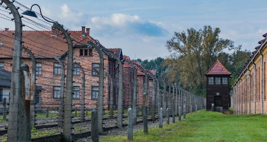 Prague: Tour to Auschwitz Birkenau - Private group value: fewer distractions, more control