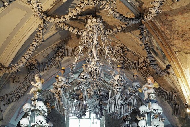 Prague-Vienna One-Way Sightseeing Day Tour - Quick Hits If You Want the Best Parts
