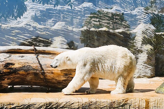 Prague Zoo Admission Ticket with Transfer and Audio Guide - Prague Zoo Without the City Traffic, Thanks to the Transfer