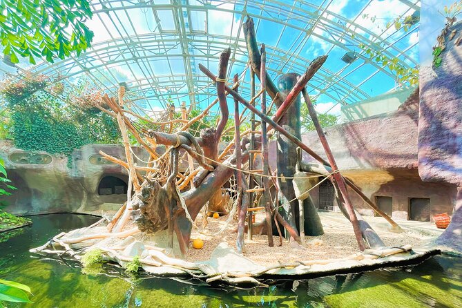 Prague Zoo Admission Ticket with Transfer and Audio Guide - Who This Prague Zoo Ticket Is Best For