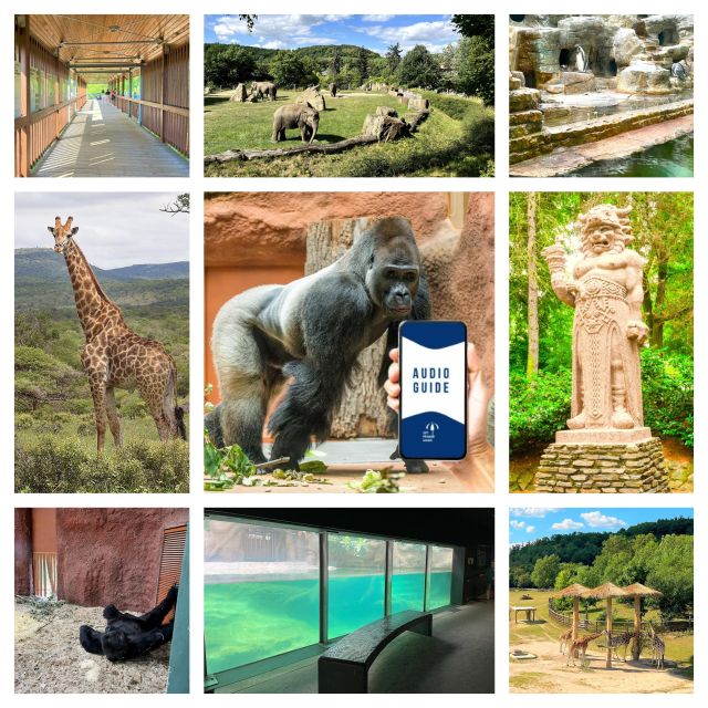 Prague Zoo Online Audio Guide (No ticket) - The Audio Chapters and the Maps You’ll Rely On All Day