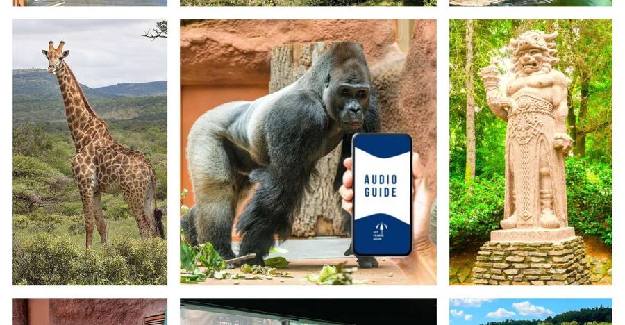 Prague Zoo Online Audio Guide (No ticket) - The Zoo Story You Hear On the Walk: War, Floods, and Breeding Wins