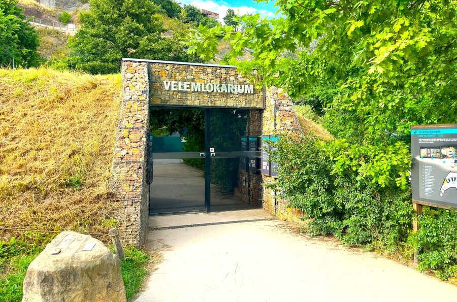 Prague Zoo Online Audio Guide (No ticket) - Internet Is Not Optional, So Plan for It Like a Pro