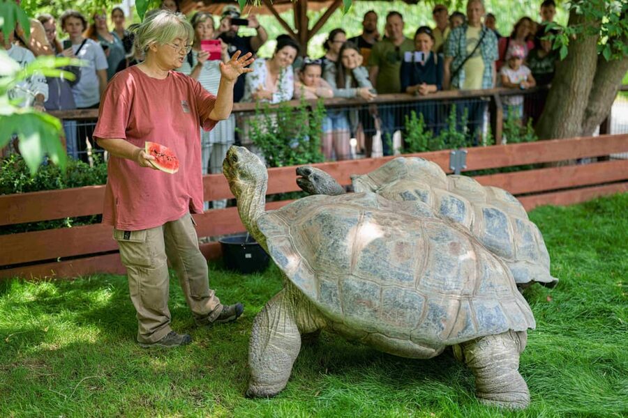 Prague Zoo: Skip-the-Line Entry Ticket - Key Highlights You’ll Feel Immediately