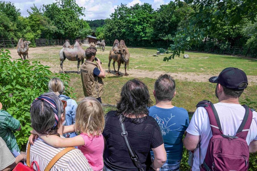 Prague Zoo: Skip-the-Line Entry Ticket - Who This Zoo Ticket Is Best For (and Who Should Rethink It)