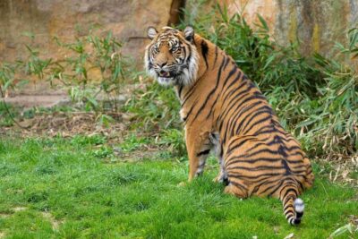 Prague Zoo: Skip-the-Line Entry Ticket