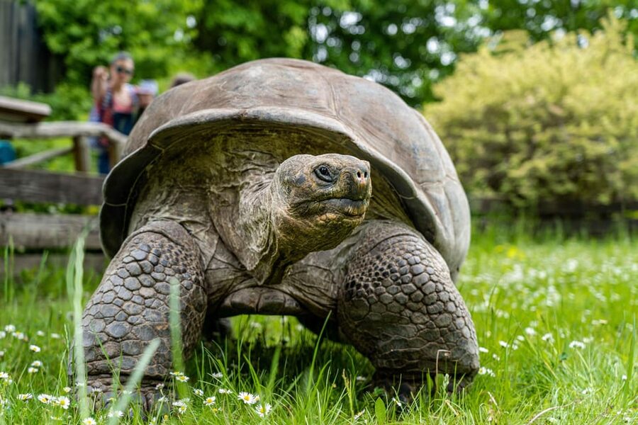 Prague Zoo: Skip-the-Line Entry Ticket - Food, Toilets, and the Small Things That Keep You Happy